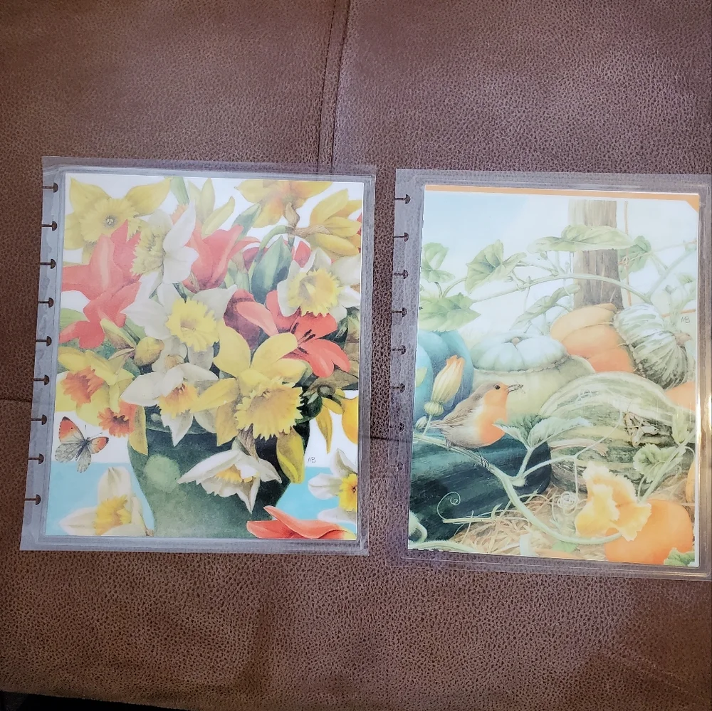 Homemade cover for a Classic size Disc Bound Planner Marjolein Bastin daffodils